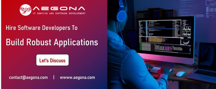 hire-software-developer-in-vietnam